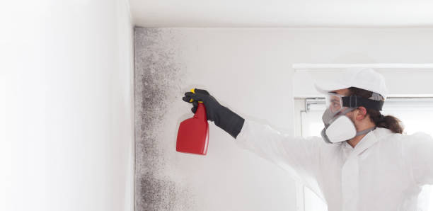 Best Residential Mold Remediation in Berry Creek, CA